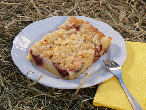 Foto_Wilhelmsburger_Hoflieferanten_Topfenstreuselkuchen_mit_Zwetschken_Bauerntopfen_der_Feinbroeselige
